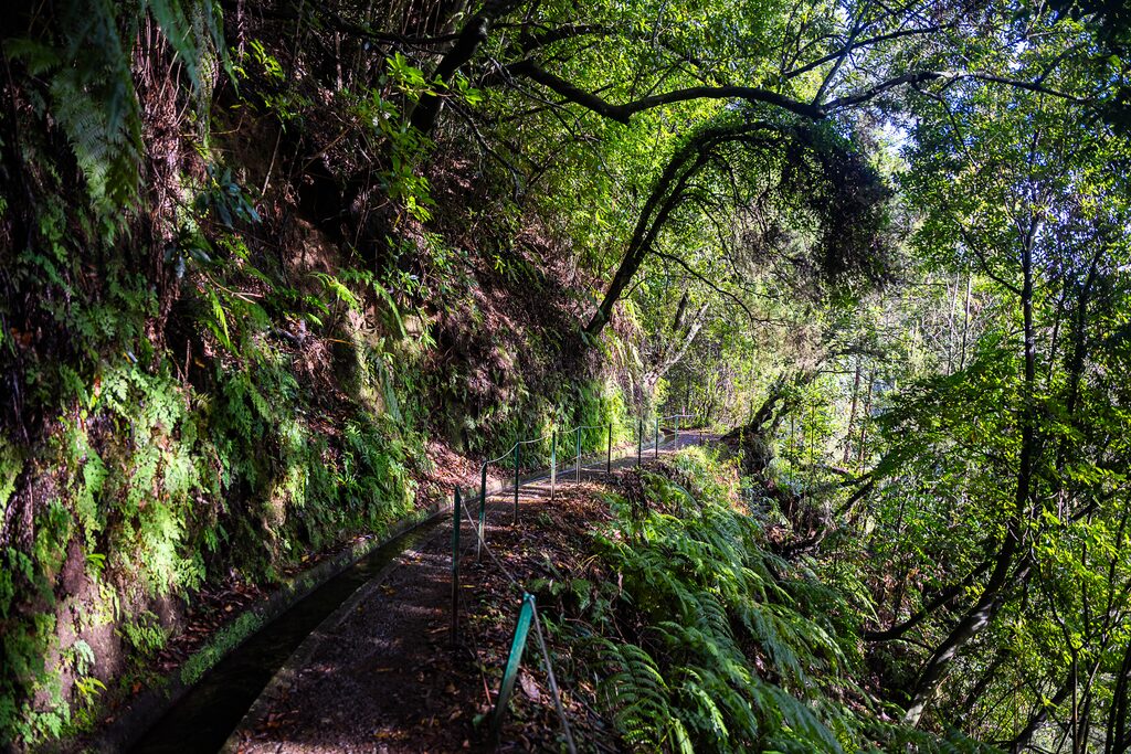 Madeira