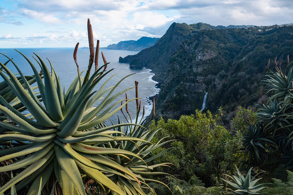 Madeira